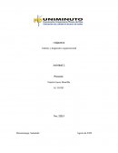 Análisis y diagnostico organizacional TOTTO