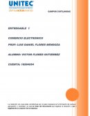 ENTREGABLE 1 COMERCIO ELECTRONICO