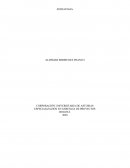 CASO PRÁCTICO Zapatos del sur S.L