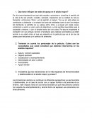 Que tanto influyen las redes de apoyo en el adulto mayor?