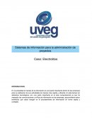 Sistemas de información para la administración de proyectos Caso: Electrolitos