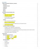 TALLER Etapas del aprendizaje. Definiciones y conductas