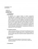 El sistema ambiental