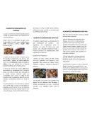 Alimentos originarios de Aymara