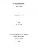 Conflictos De La Vida Cotidiana