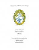 Visita técnica a la empresa COMMETAL Ltda