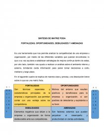 SINTESIS DE MATRIZ FODA. Página 1