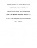 Compartiendo ideas de proyectos de inversión