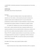 Metafora Cratividad E Innovacion- Frank Gehry