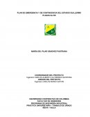 PLAN DE EMERGENCIA Y DE CONTINGENCIA DEL ESTADIO GUILLERMO PLAZAS ALCID