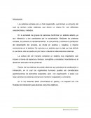 Especialidad educacion