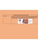 ENFERMEDAD INFLAMATORIA INTESTINAL CRONICA