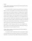 Preguntas Teoría del trade-off