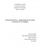 Fundamentos teórico – epistemológicos del Campo Conceptual de la Pedagogía