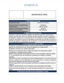 DESCRIPCIÓN DE CARGO Ejecutivo Comercial