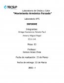 Laboratorio de Ondas y Calor “Movimiento Armónico Forzado”