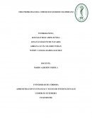 TRES PROBLEMAS DEL COMERCIO EXTERIOR COLOMBIANO