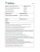 Evidencia 1 Química Industrial y sostenibilidad