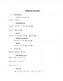 TAREA DE CALCULO