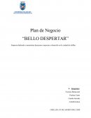 Plan de Negocio “BELLO DESPERTAR”