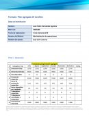 Formato: Plan agregado El tornillón