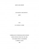 ¿Es la educación un medio para eliminar el conflicto?