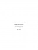 Calidad de la industria y conceptos de auditoría Empresa Rubro Arauco S.A.