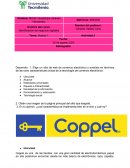 Identificación de negocios digitales