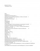 Costeo de una empresa de hamburguesas