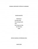EVIDENCIA: PROYECCIÓN Y OFERTA DE LA DEMANDA . GESTION LOGISTICA