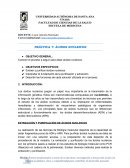 PRÁCTICA 7: ÁCIDOS NUCLEICOS