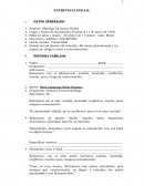 Formato de entrevista psicologica para niños