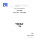 Informe de Tribologia (Lubricación Industrial)