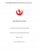 CURSO: INVESTIGACIÓN ARQUITÉCTONICA