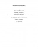 Análisis y Diagnostico Organizacional Empresa LLANODENT