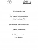 Enfermería Quirúrgica Guía de Medio Ambiente Quirúrgico