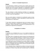 Capítulo 2: Complejidad Organizacional