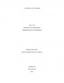 El conflicto en Colombia