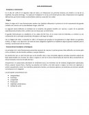Raza Romosinuano