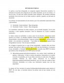 SÍNTESIS DE PURINAS