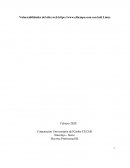 Informe de Vulnerabilidades