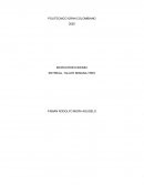 Oferta, demanda, equilibrio del mercado e intervencion del Estado