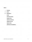 Metodos numericos de solución para una ecuación diferencial