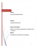 Tecnologías de la Información en los Negocios