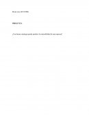 ¿Una buena estrategia puede predecir la sostenibilidad de una empresa?