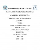 IMPORTANCIA DEL PET DE TÓRAX