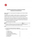 FORMULARIO DE REGISTRO INDIVIDUAL DE INFORMACION DE LOS RIESGOS