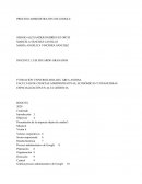 Google - Proceso Administrativo