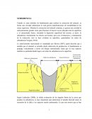 Subsidencia