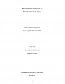 Matriz de análisis de una empresa. Mattelsa